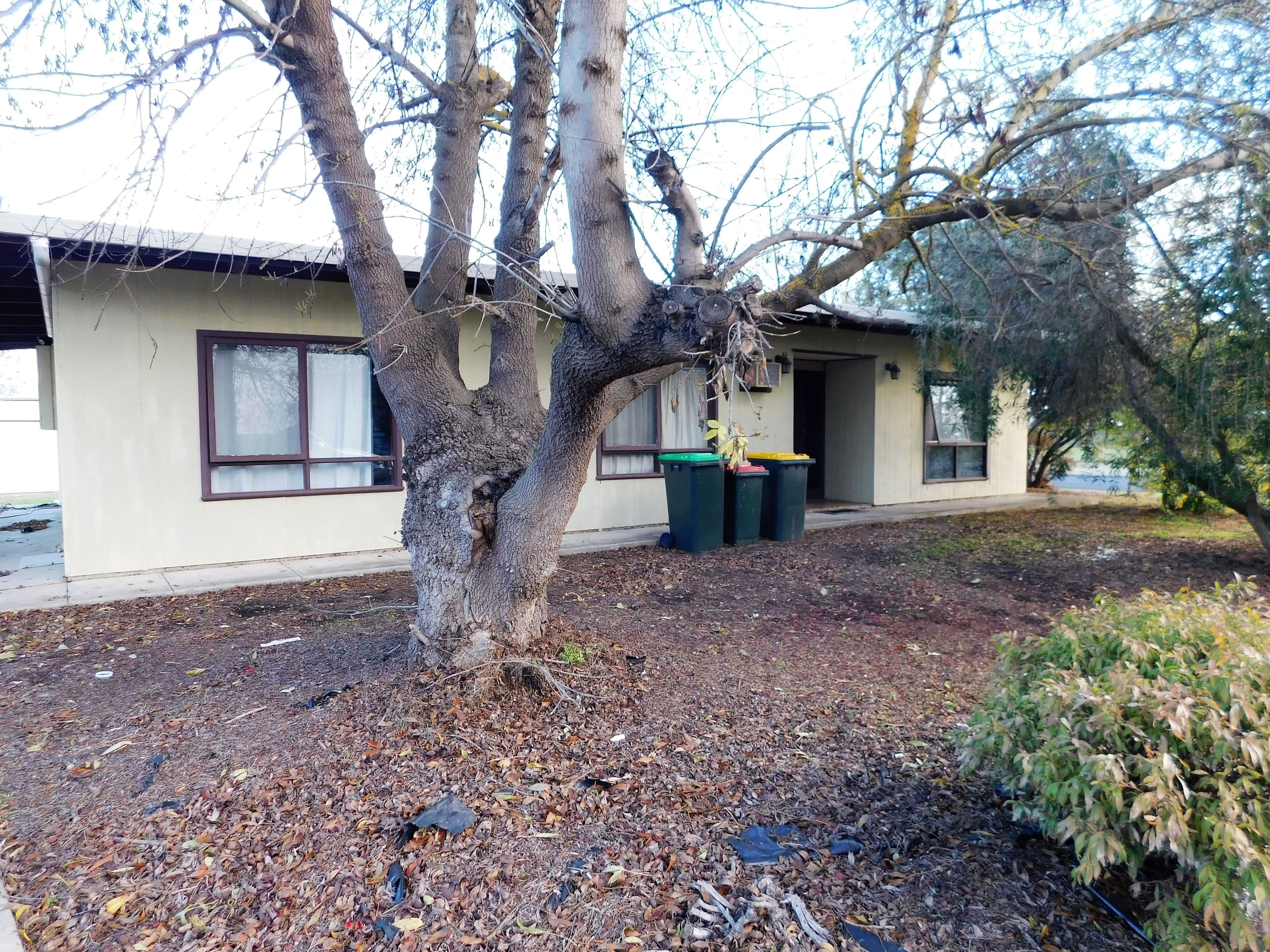 30 Bertha Street, Bordertown SA 5268, Bordertown - Image 1