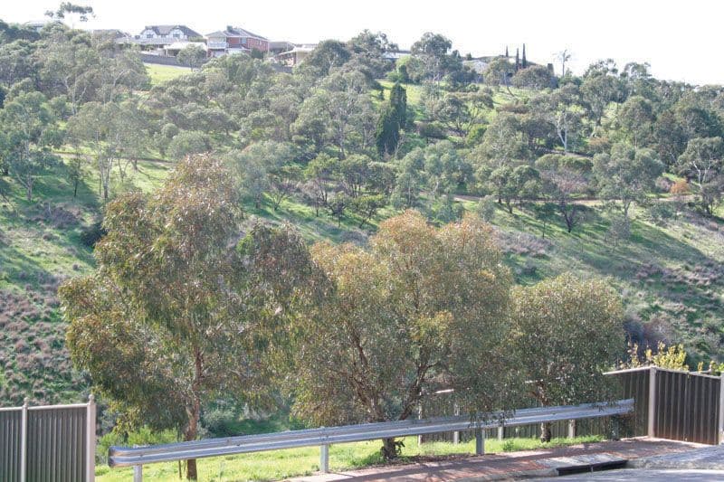 11 Leopardwood Street, Narangba, Narangba - Thumbnail 6