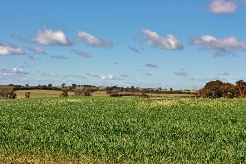 Lot 94 Boundary Road, YOUNG NSW 2594, Young - Thumbnail 2