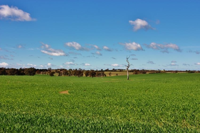 Lot 94 Boundary Road, YOUNG NSW 2594, Young - Thumbnail 3