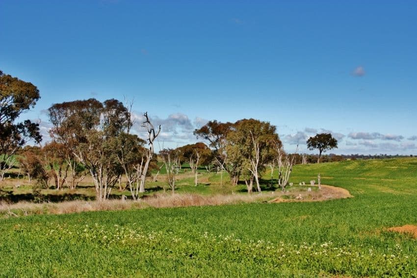 Lot 94 Boundary Road, YOUNG NSW 2594, Young - Thumbnail 7