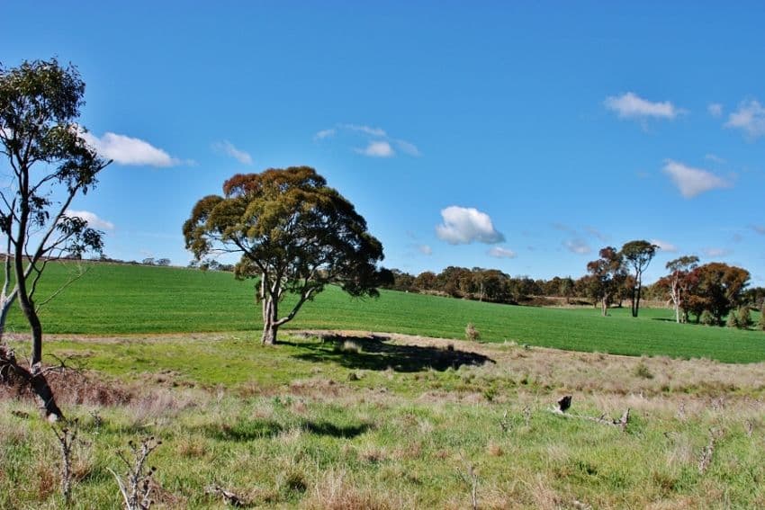 Lot 94 Boundary Road, YOUNG NSW 2594, Young - Thumbnail 8