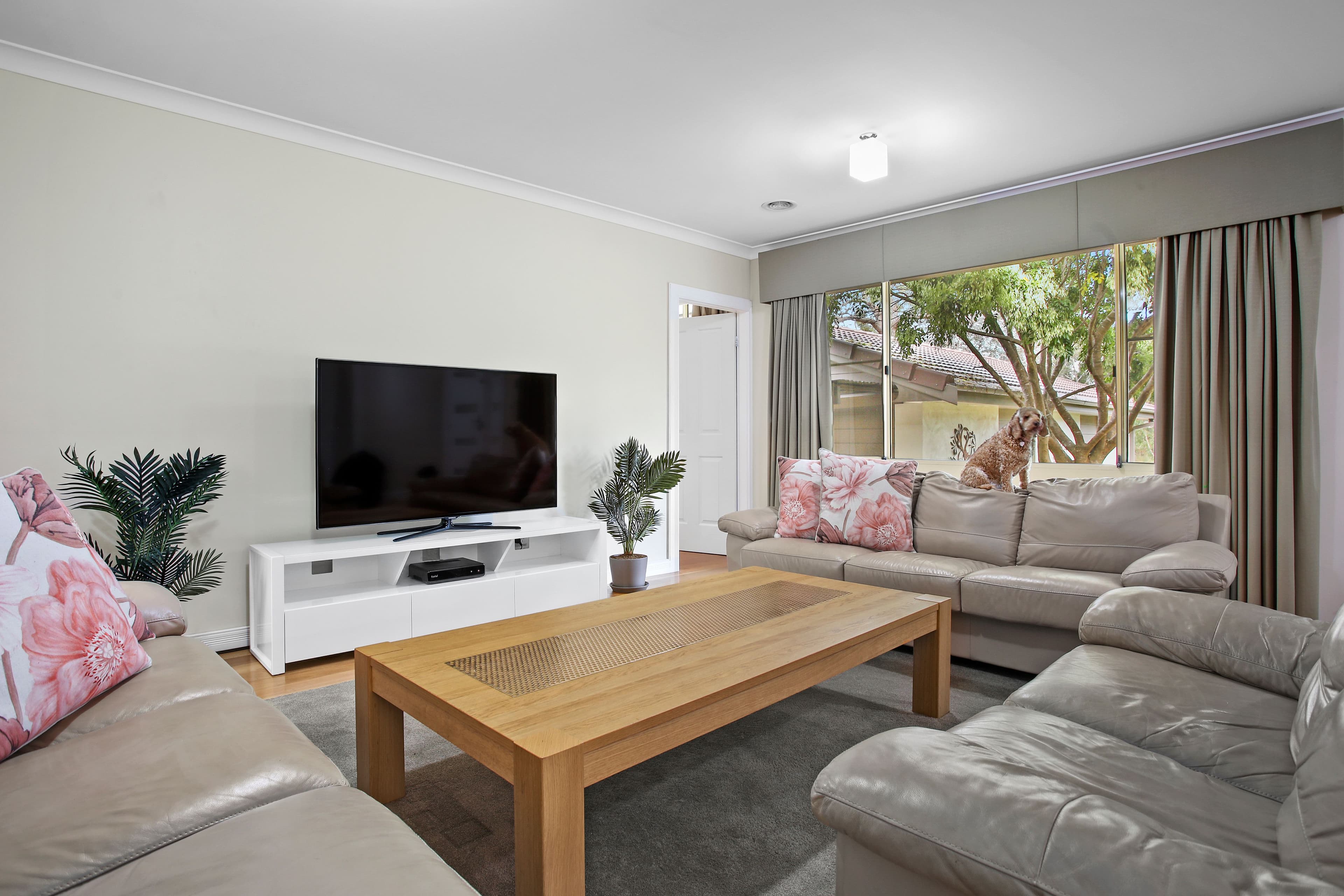 6 Gascoigne Street, Mittagong NSW 2575, Mittagong - Thumbnail 7