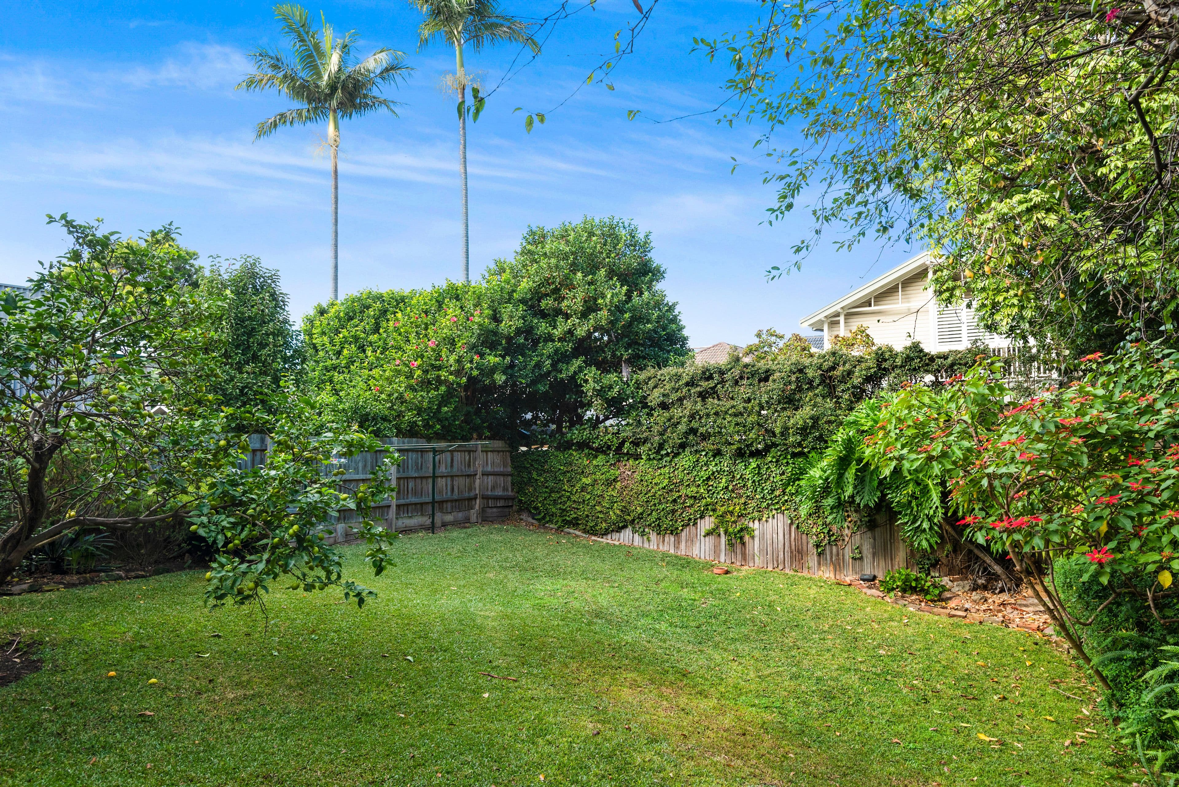 36 Rangers Avenue, Mosman NSW 2088, Mosman - Thumbnail 8