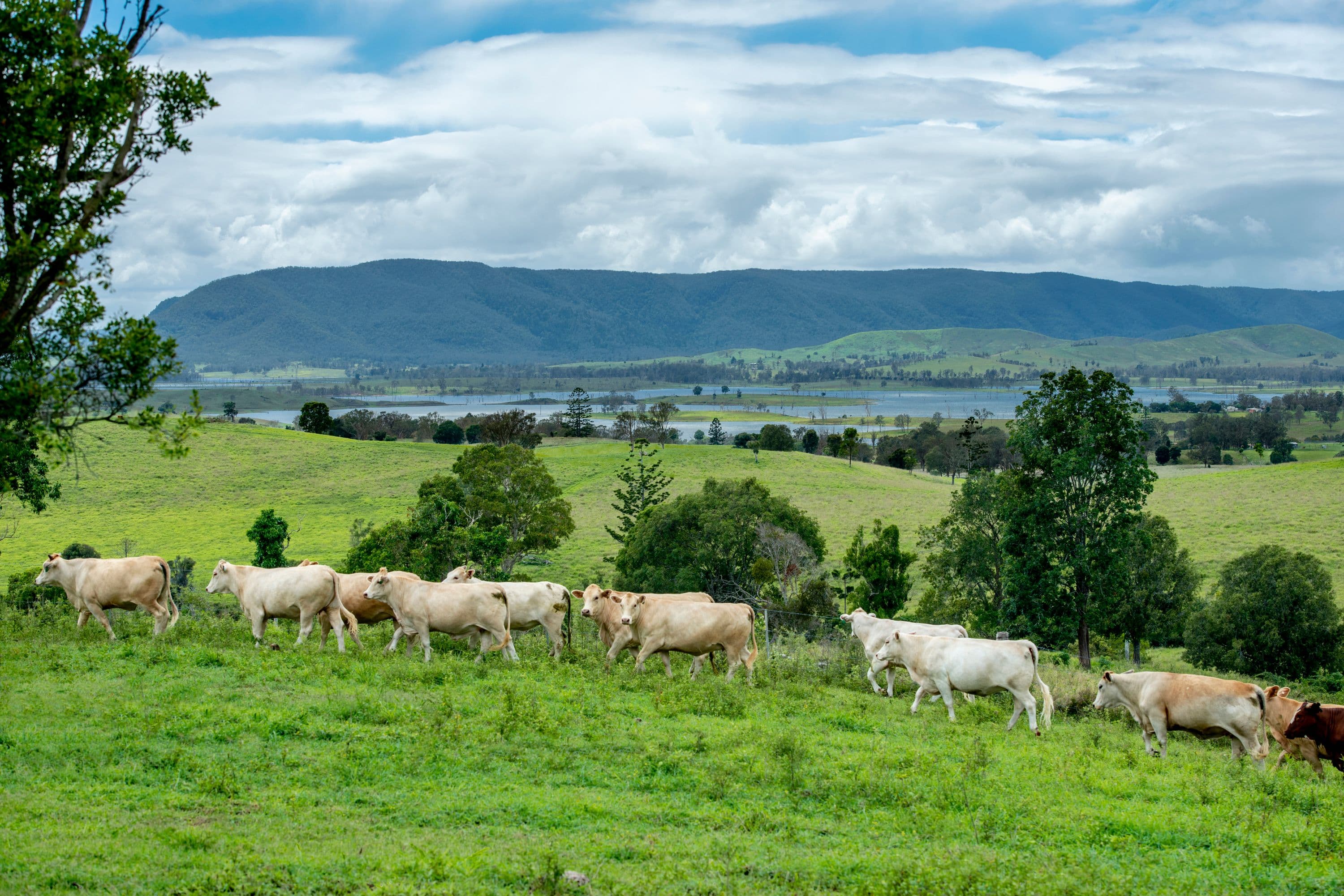 4199 Esk Kilcoy Road, Hazeldean QLD 4515, Hazeldean - Thumbnail 2
