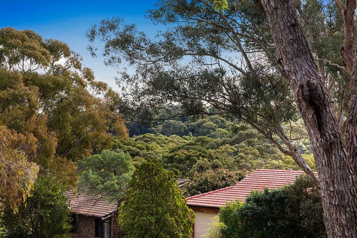 16 Yanderra Avenue, Bangor - Thumbnail 8