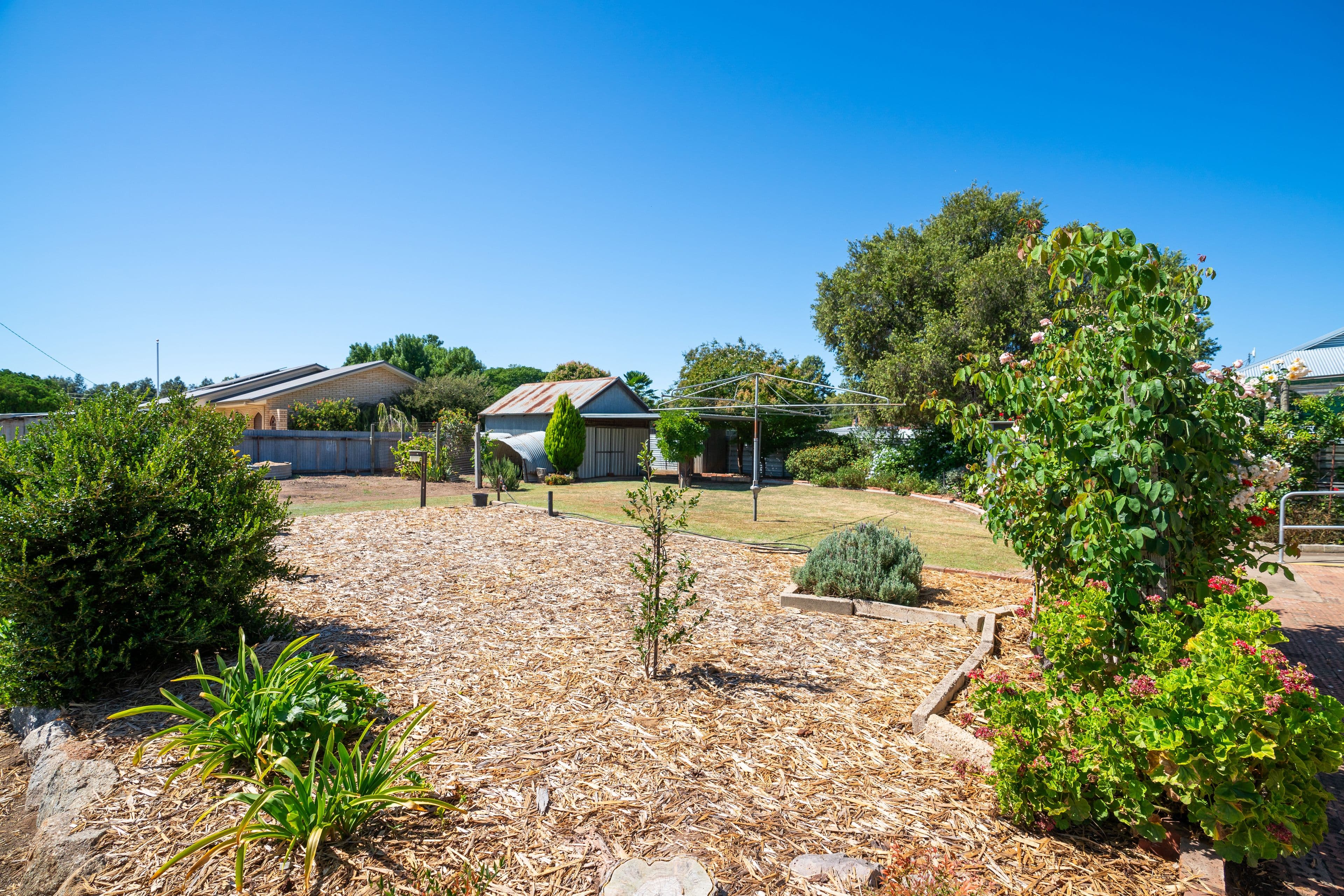 42 Commercial Street, Walla Walla NSW 2659, Walla Walla - Thumbnail 2