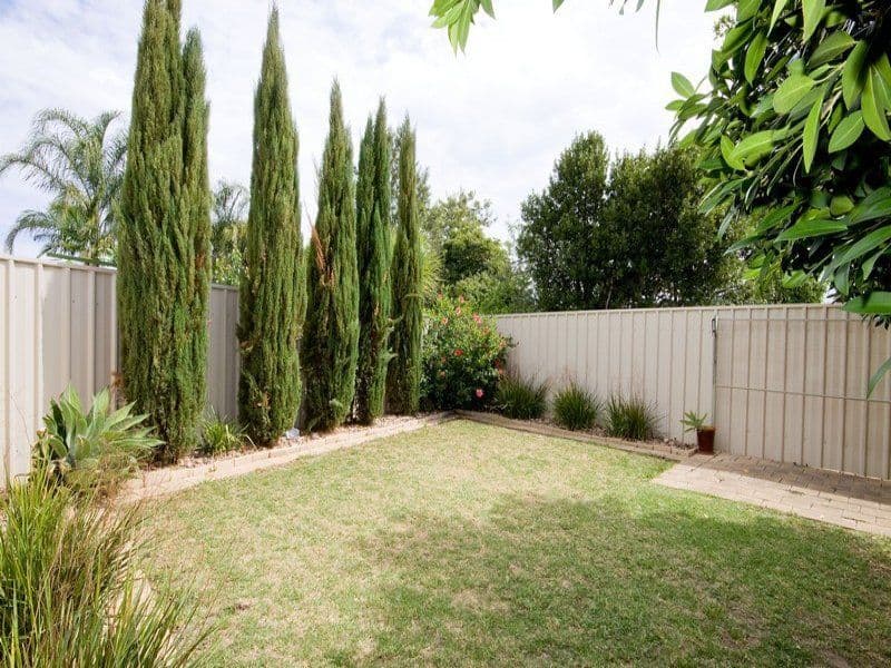 52a  Hambledon Road, CAMPBELLTOWN SA 5074, Campbelltown - Thumbnail 8