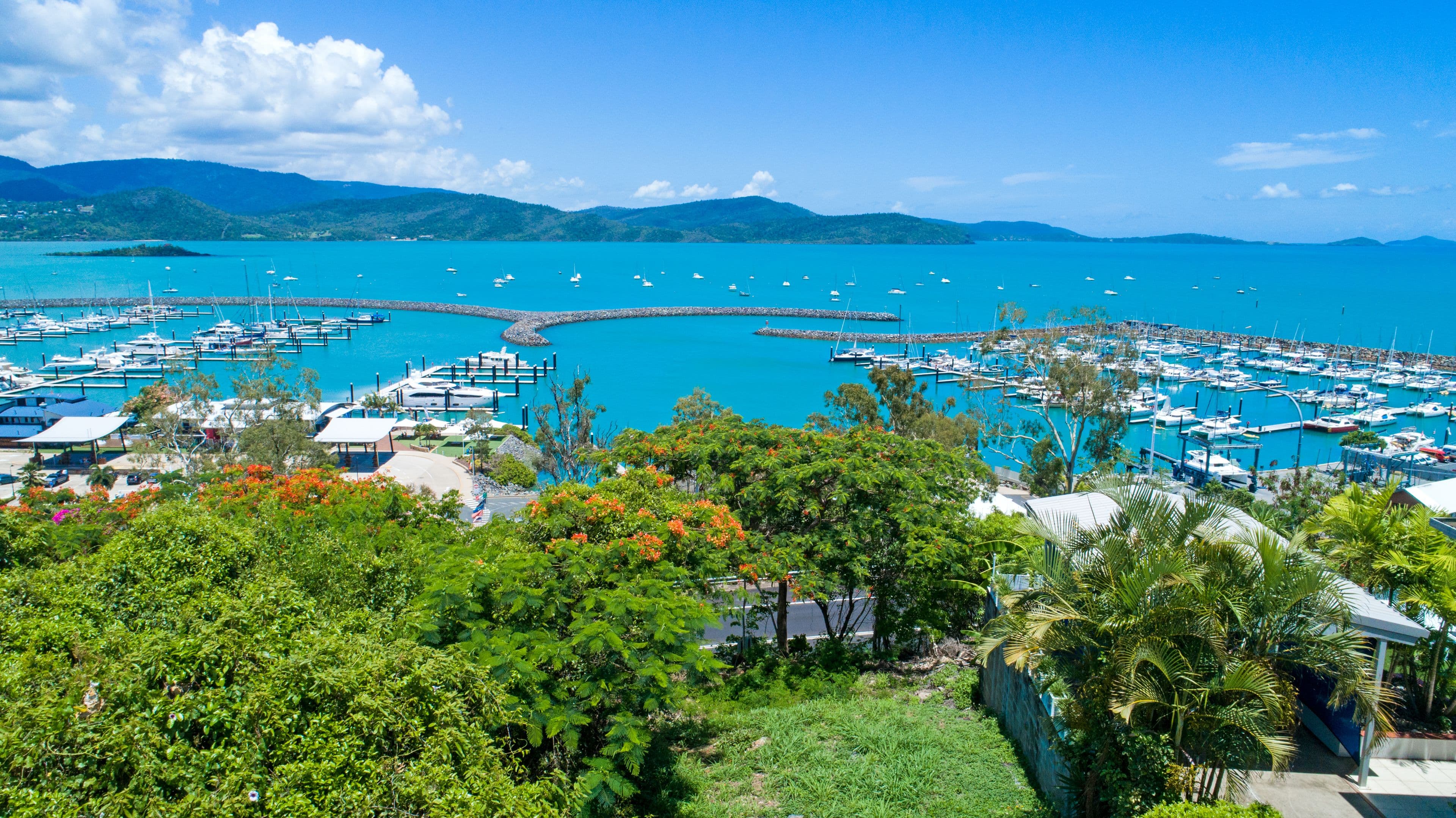 31 Airlie Crescent, Airlie Beach QLD 4802, Airlie Beach - Thumbnail 2