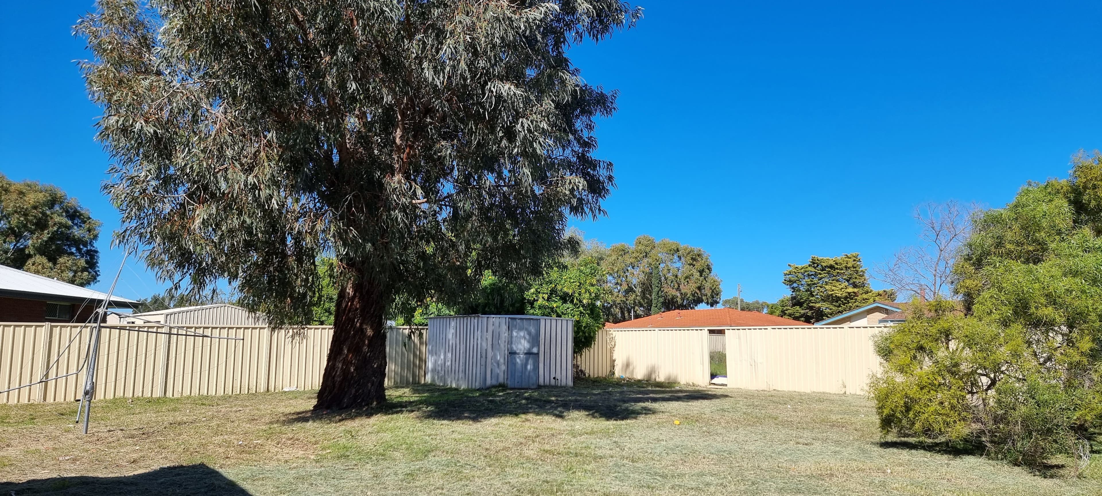 10 Hammond Place, Spalding WA 6530, Spalding - Thumbnail 5