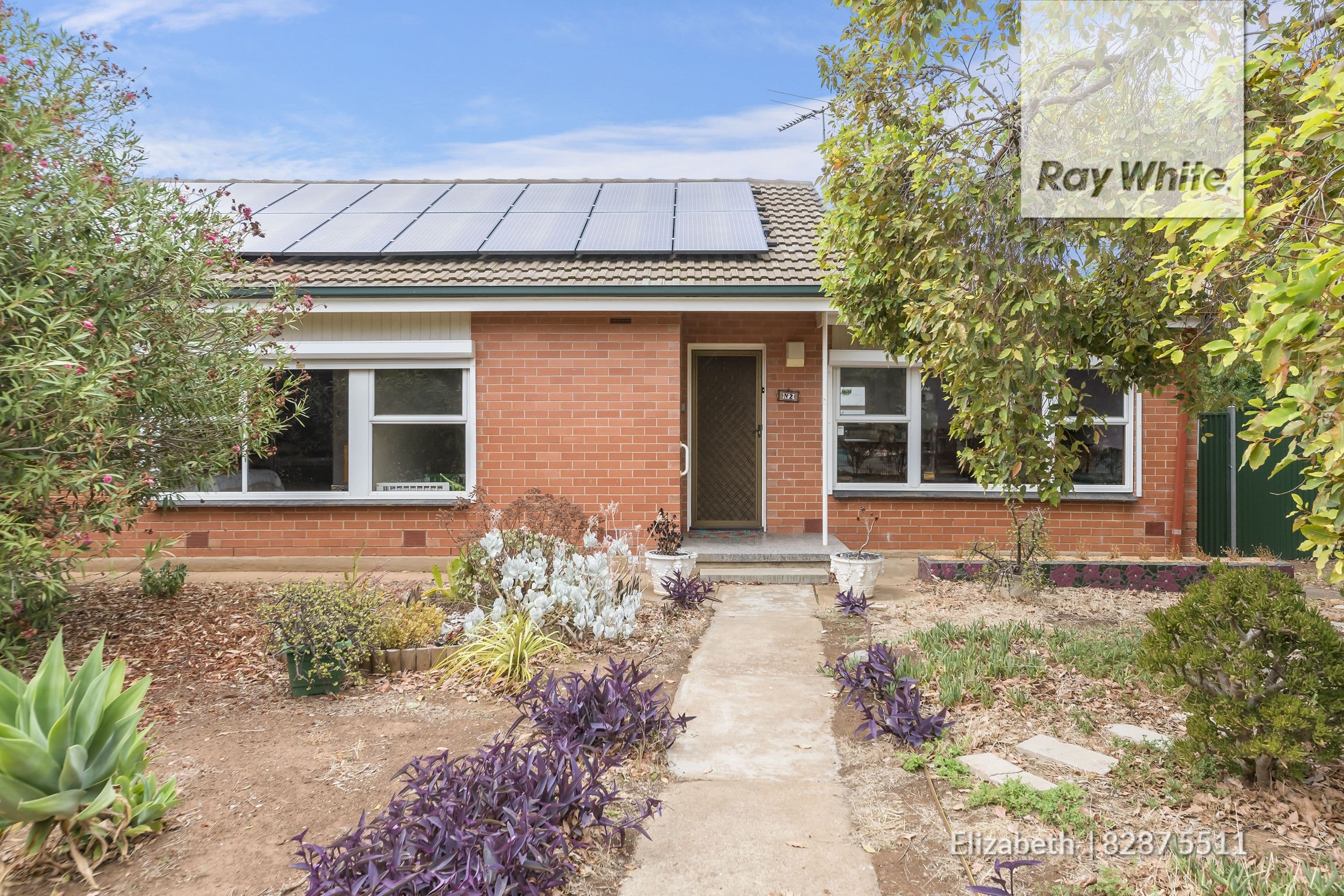 2 Lowe Street, Elizabeth East SA 5112, Elizabeth East - Thumbnail 2