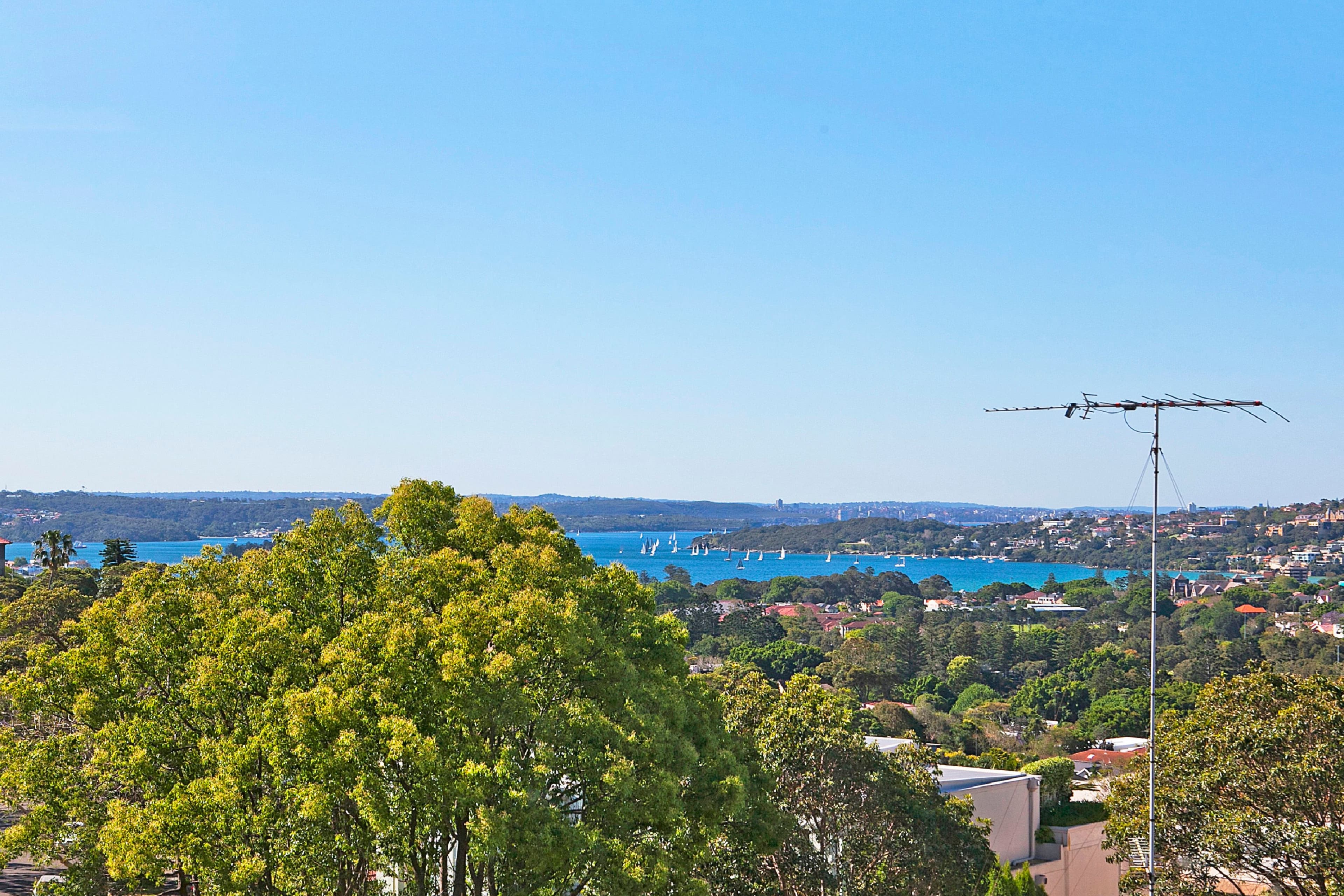 14 Birriga Road, Bellevue Hill NSW 2023, Bellevue Hill - Thumbnail 2