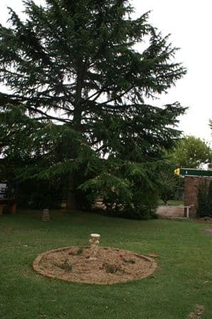 72 Sampson Street, ORANGE NSW 2800, Orange - Thumbnail 3
