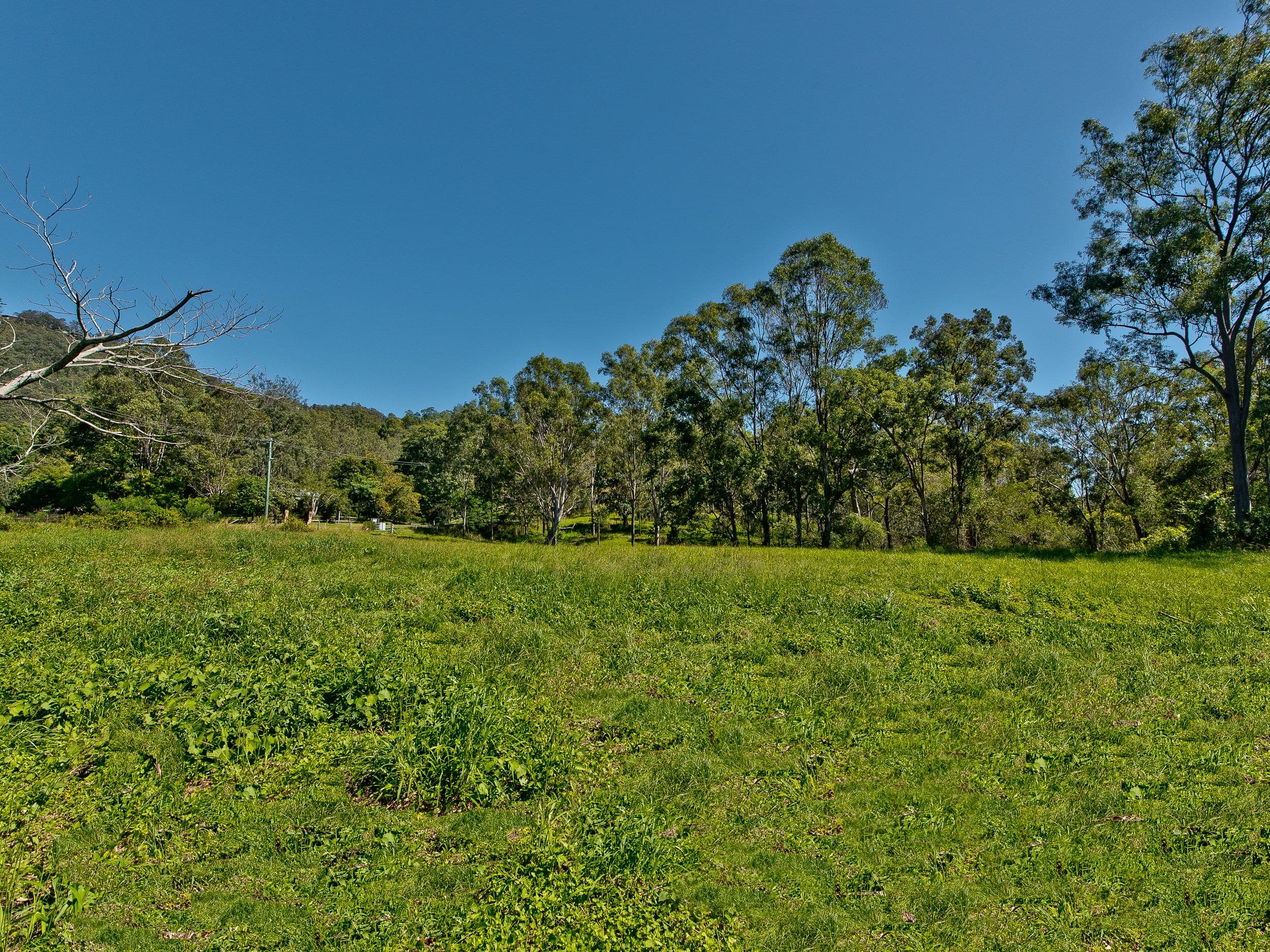 Lot 5, 217 Hulcombe Road, Highvale QLD 4520, Highvale - Image 1