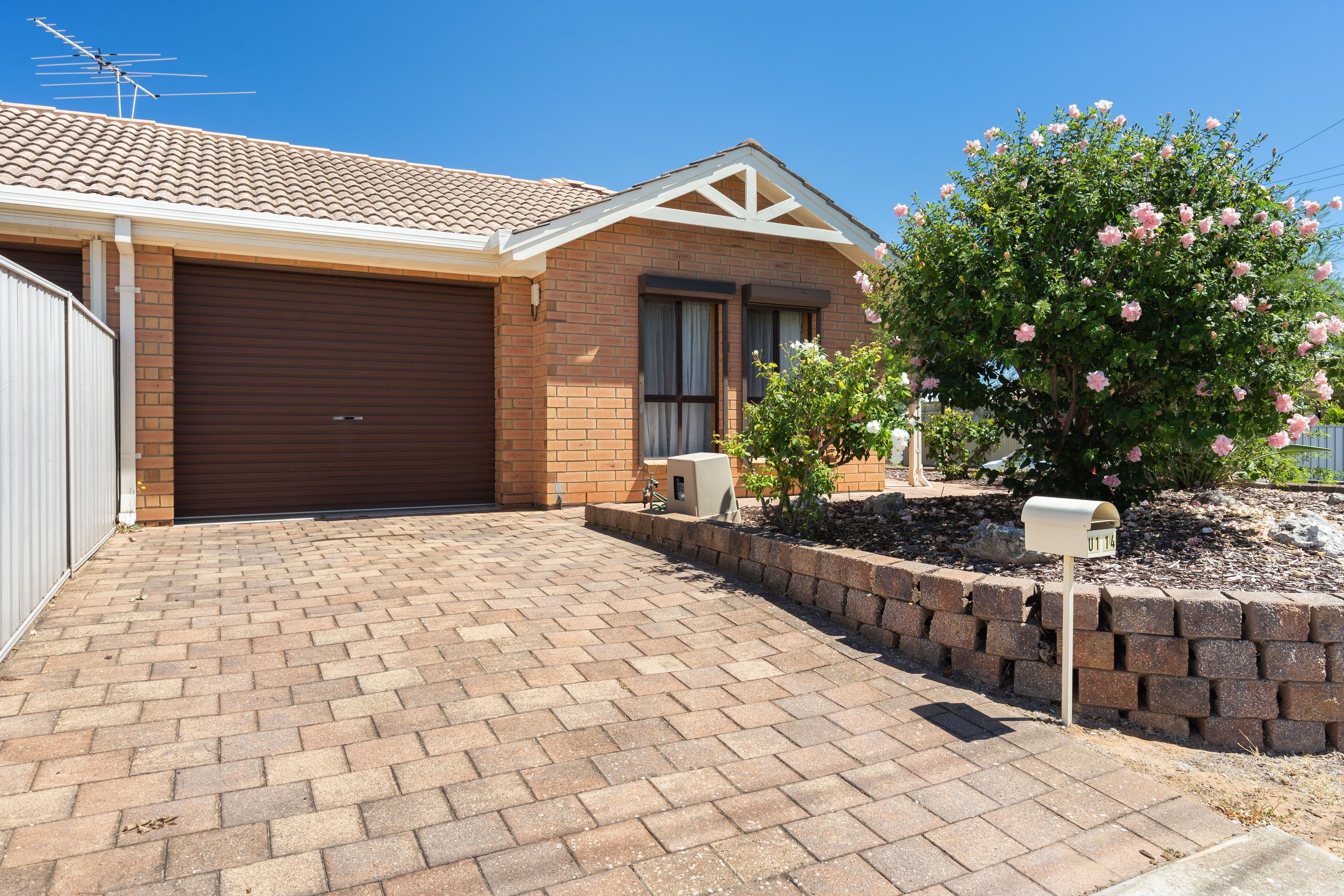 14 Kingborn Avenue, Seaton SA 5023, Seaton - Thumbnail 2