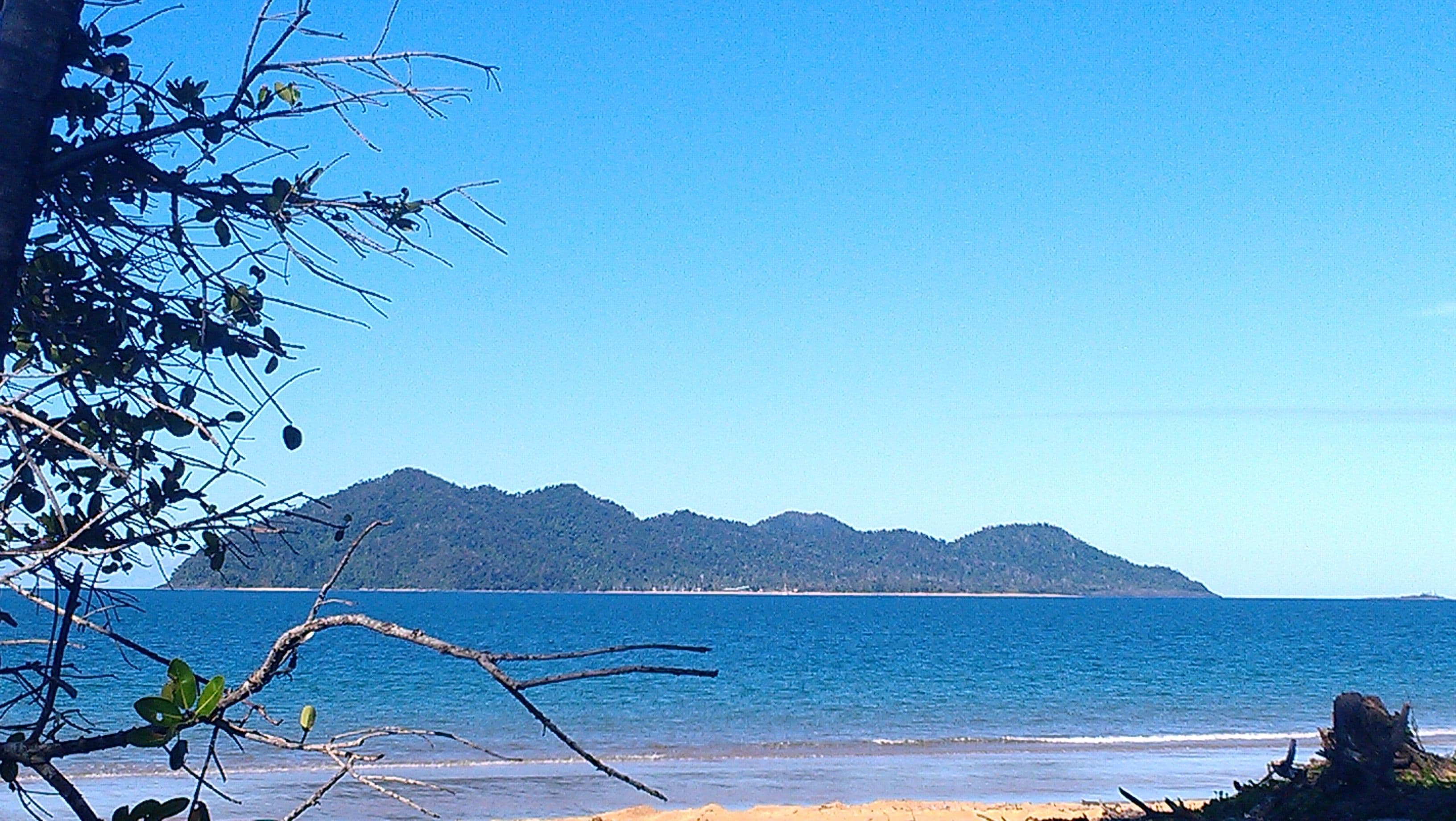 76 Reid Road, Wongaling Beach QLD 4852, Wongaling Beach - Thumbnail 5