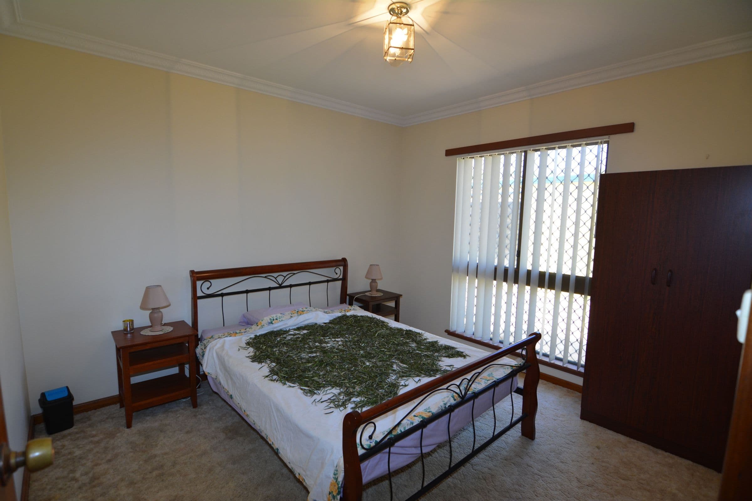 4 Willesee Street, Carnarvon WA 6701, Carnarvon - Thumbnail 6