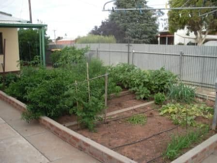 59 Twelfth Street, MILDURA VIC 3500, Mildura - Thumbnail 8