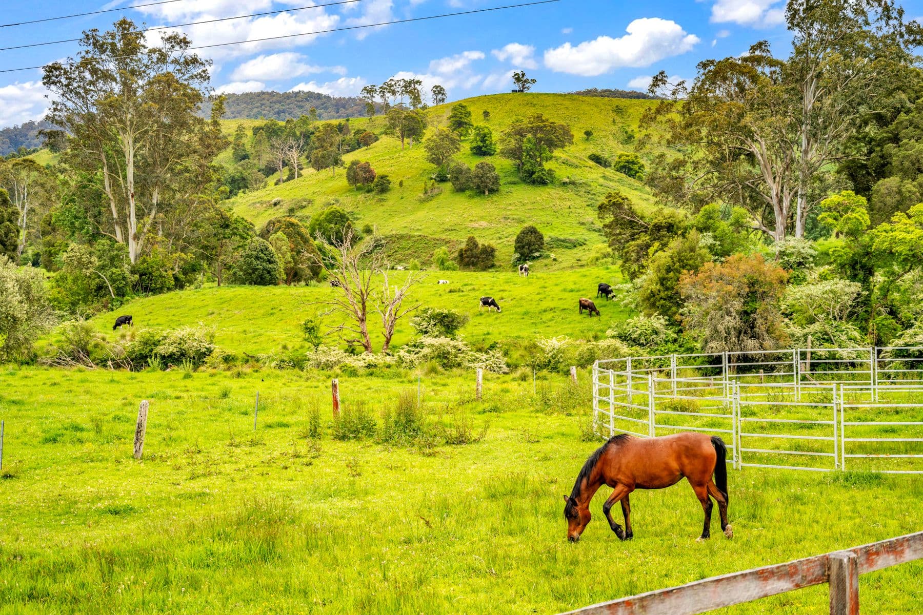 2081 Waukivory Road, Gloucester NSW 2422, Waukivory - Image 1