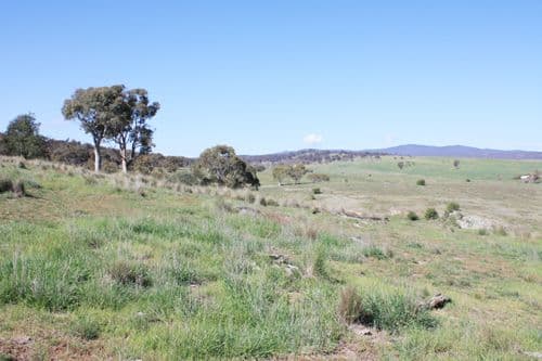 36 Rossi Road, HOSKINSTOWN NSW 2621, Hoskinstown - Thumbnail 2