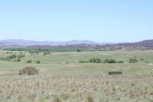 36 Rossi Road, HOSKINSTOWN NSW 2621, Hoskinstown - Thumbnail 3