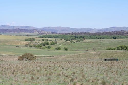 36 Rossi Road, HOSKINSTOWN NSW 2621, Hoskinstown - Thumbnail 4