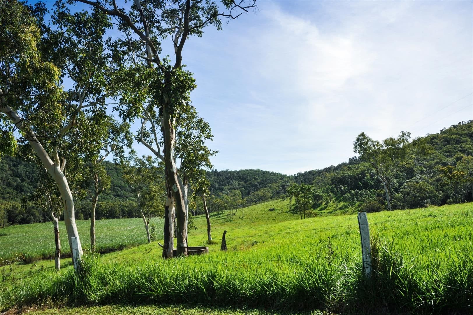 Lot 202 De Boni Road, GREGORY RIVER QLD 4800, Gregory River - Thumbnail 2