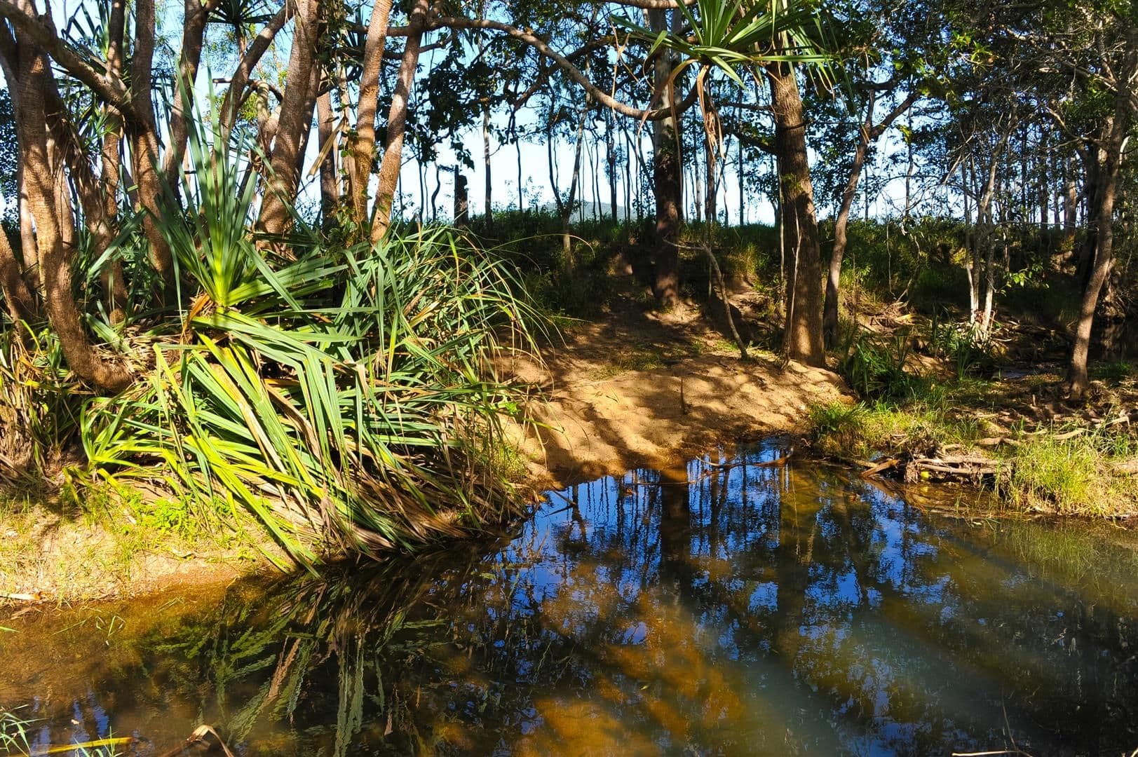 Lot 202 De Boni Road, GREGORY RIVER QLD 4800, Gregory River - Thumbnail 3