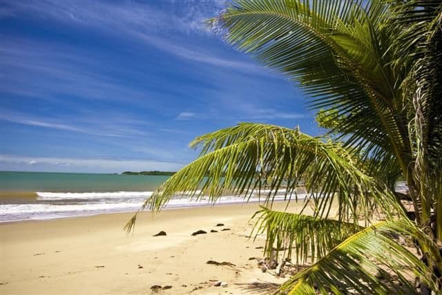 19 James Road, Mission Beach QLD 4852, Mission Beach - Thumbnail 8