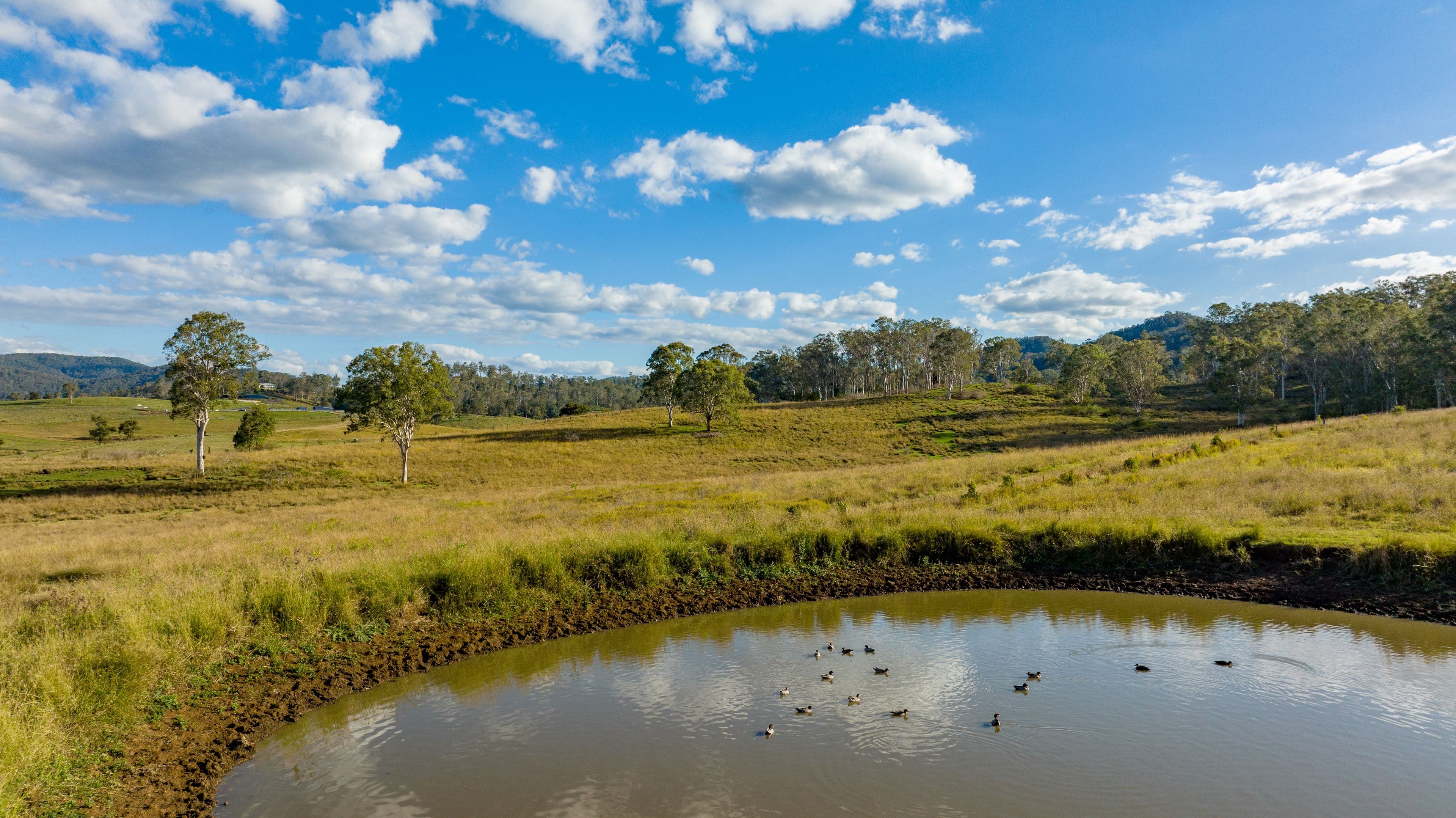 27 Alexandra Street, Kenilworth QLD 4574, Kenilworth - Thumbnail 7