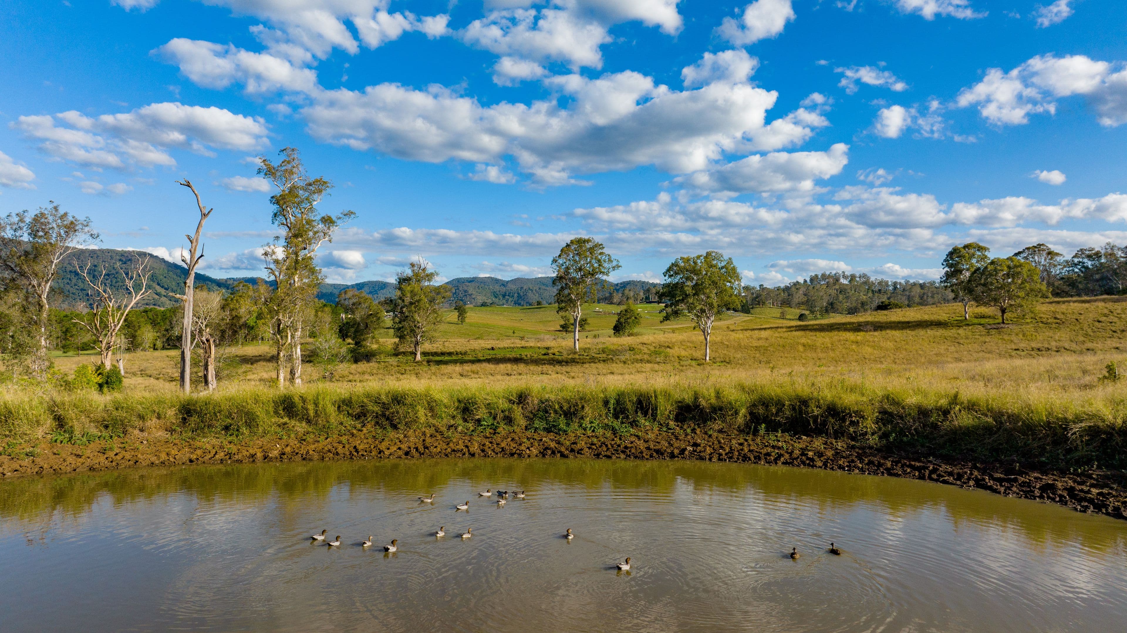 27 Alexandra Street, Kenilworth QLD 4574, Kenilworth - Thumbnail 8