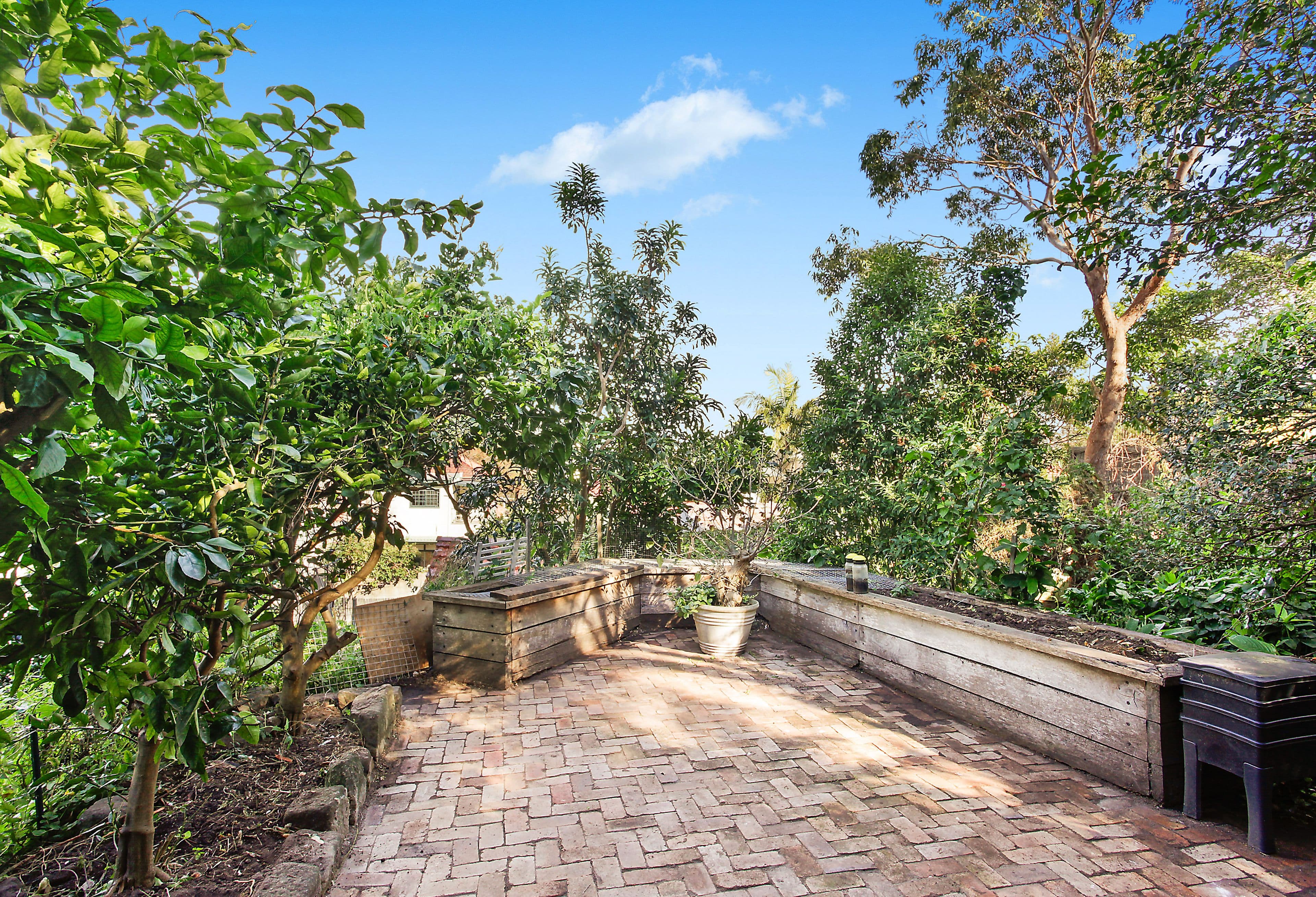 17 Busby Parade, Bronte NSW 2024, Bronte - Thumbnail 6