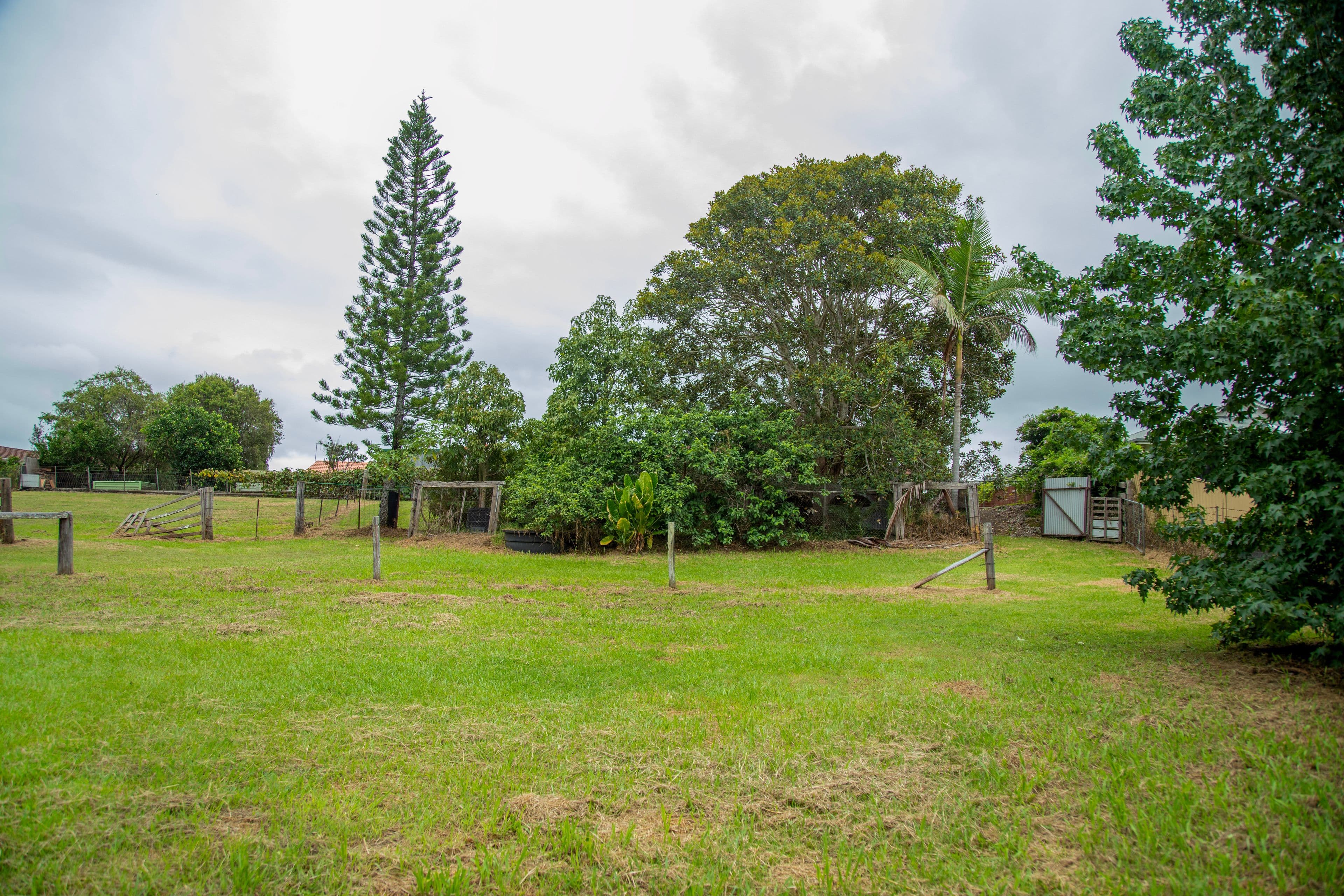 42 Kurrajong Crescent, Taree NSW 2430, Taree - Thumbnail 6