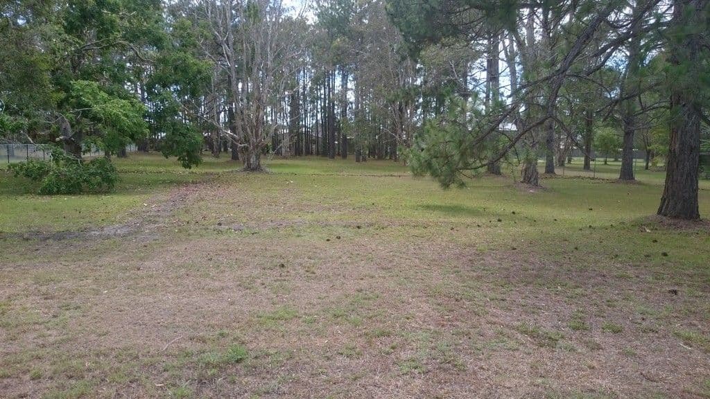 18 Fairmount Street, Elimbah QLD 4516, Elimbah - Thumbnail 4