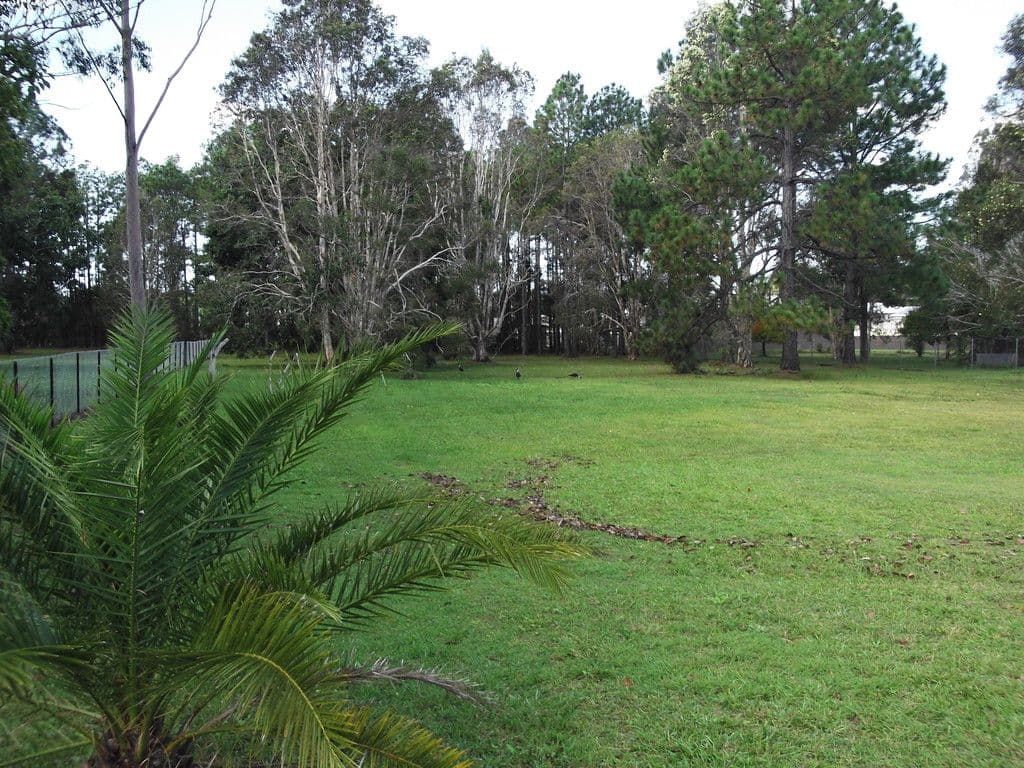 18 Fairmount Street, Elimbah QLD 4516, Elimbah - Thumbnail 6