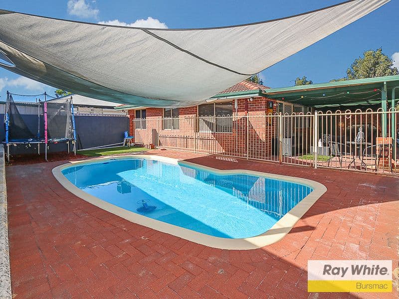 51 Allington Avenue, Ballajura WA 6066, Ballajura - Thumbnail 4