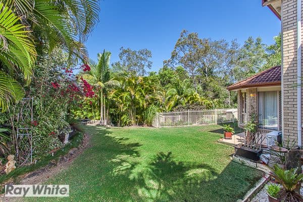 6 Carmody Court, PETRIE QLD 4502, Petrie - Thumbnail 5