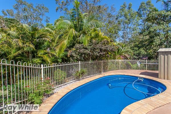 6 Carmody Court, PETRIE QLD 4502, Petrie - Thumbnail 8