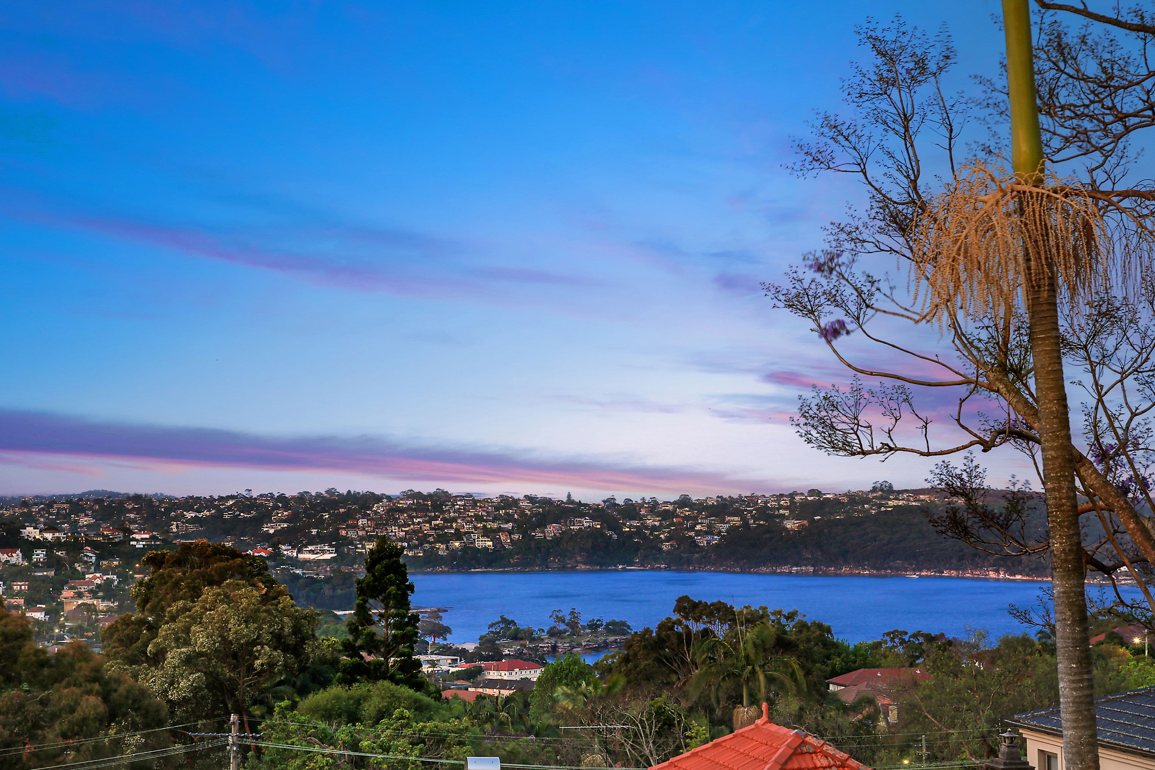 99 Middle Head Road, Mosman - Image 1