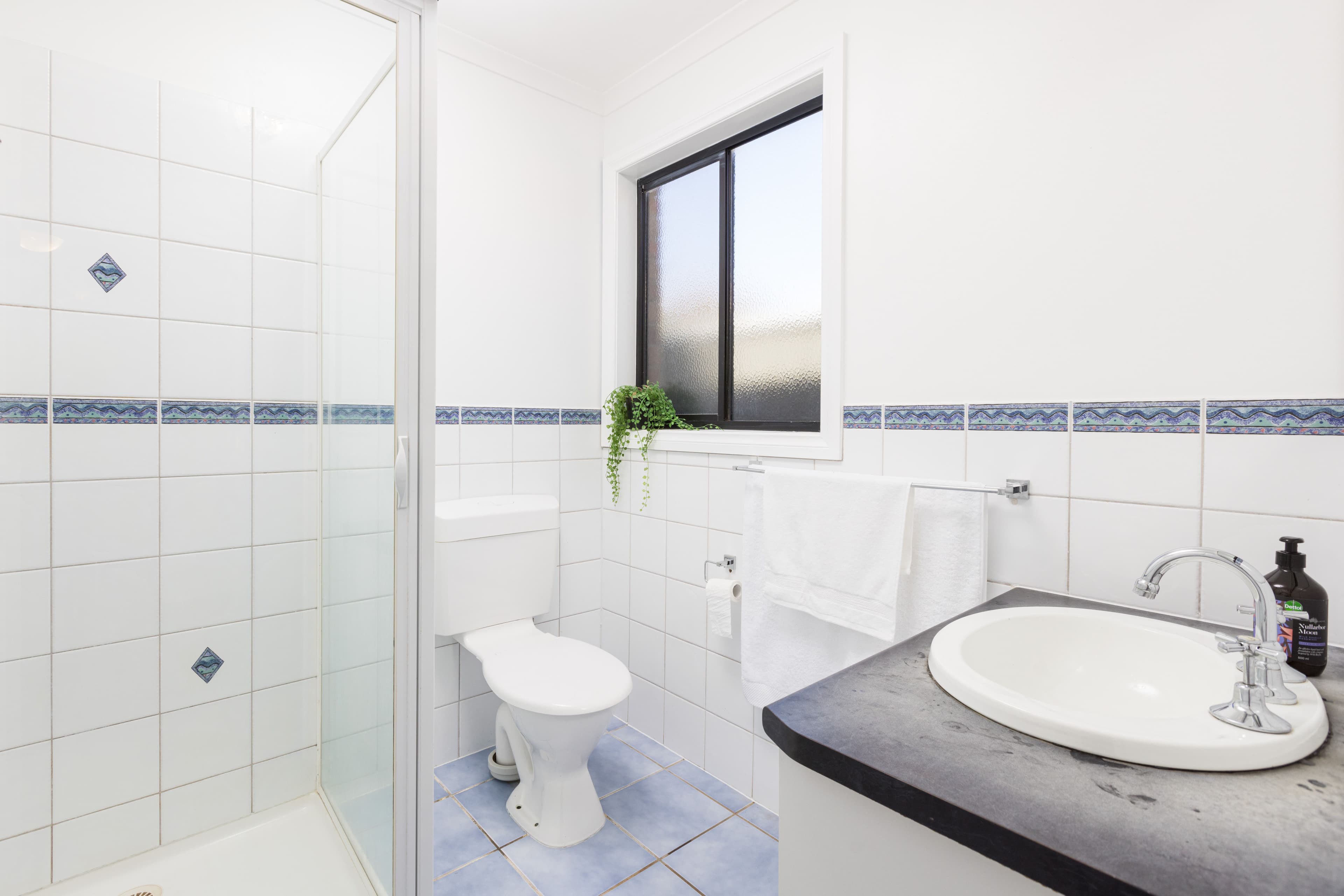 8 Tyers Court, Merbein VIC 3505, Merbein - Thumbnail 8