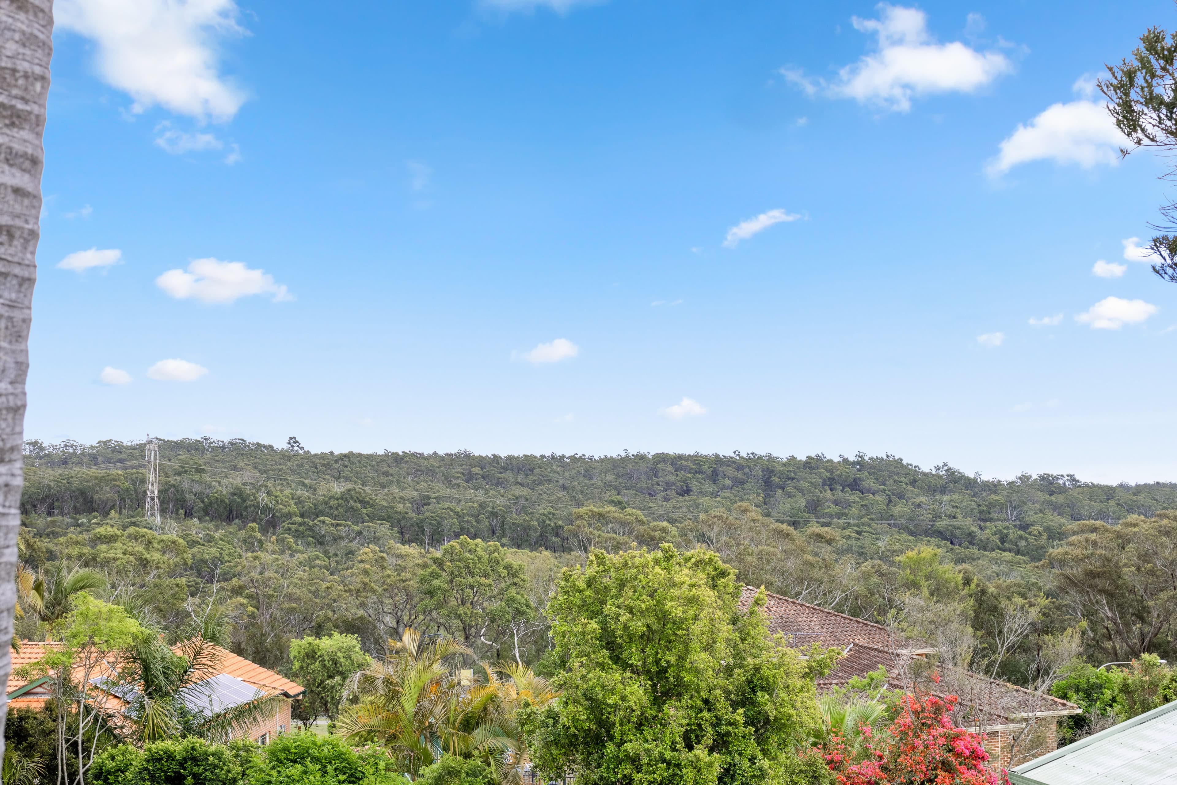 3 Mcgill Place, Menai NSW 2234, Menai - Thumbnail 7