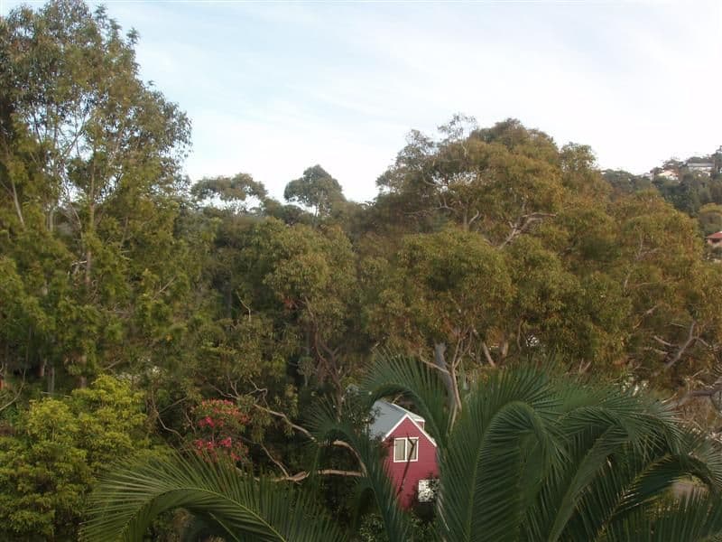 11 Jannali Crescent, JANNALI NSW 2226, Jannali - Thumbnail 7