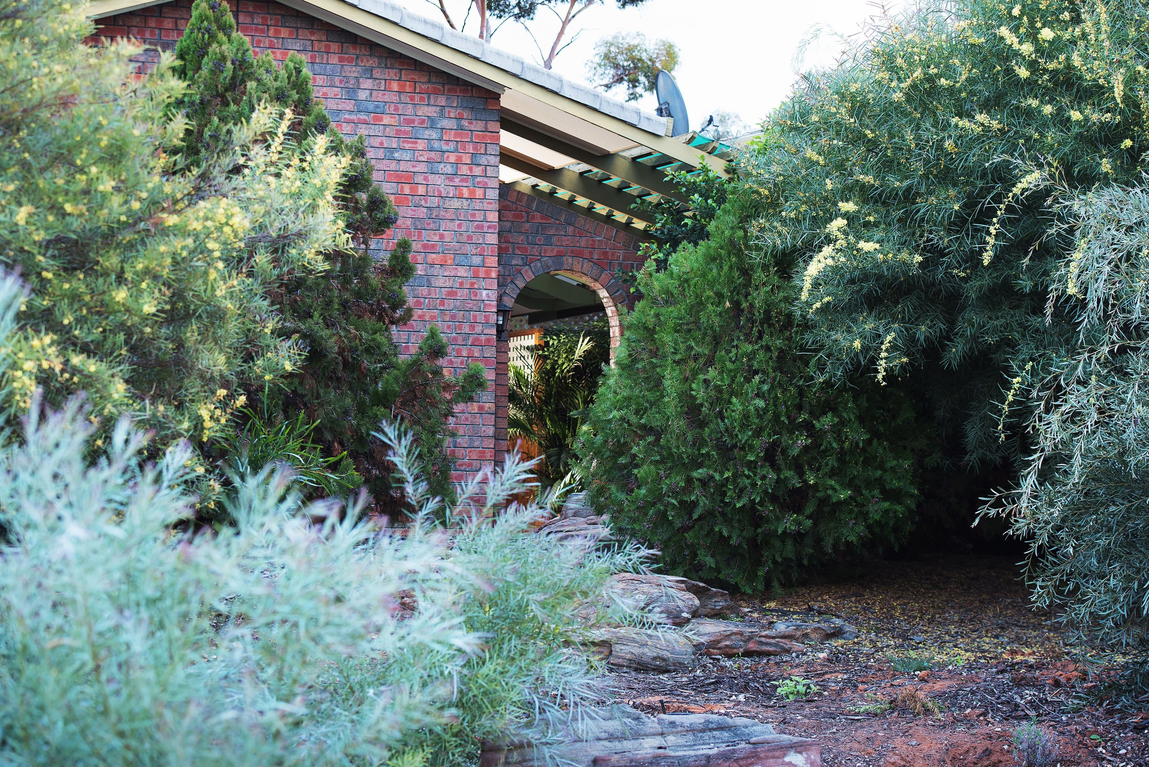 54 Derrick Street, Berri SA 5343, Berri - Thumbnail 3
