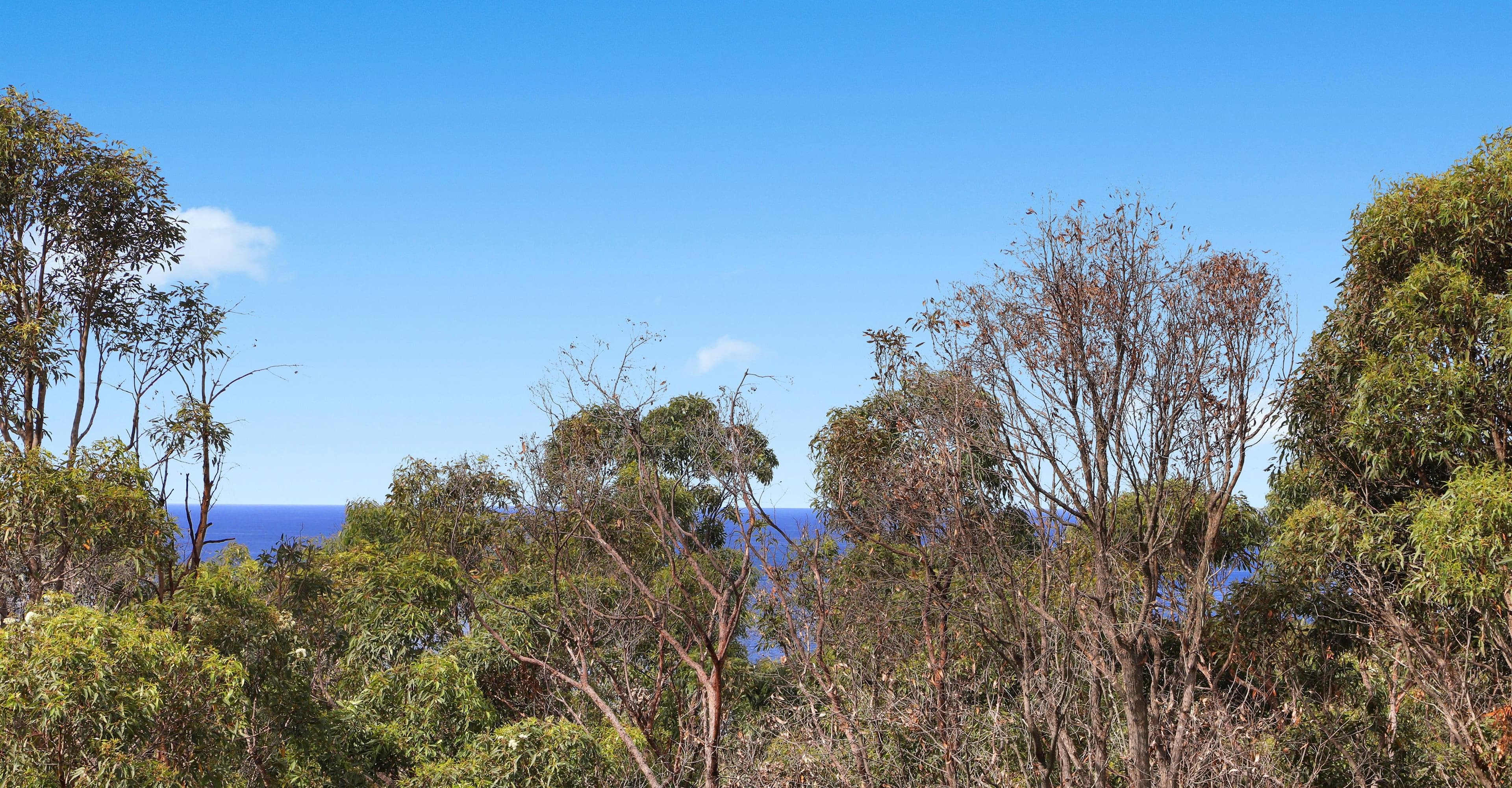 47 Beachview Esplanade, Macmasters Beach NSW 2251, Macmasters Beach - Thumbnail 8