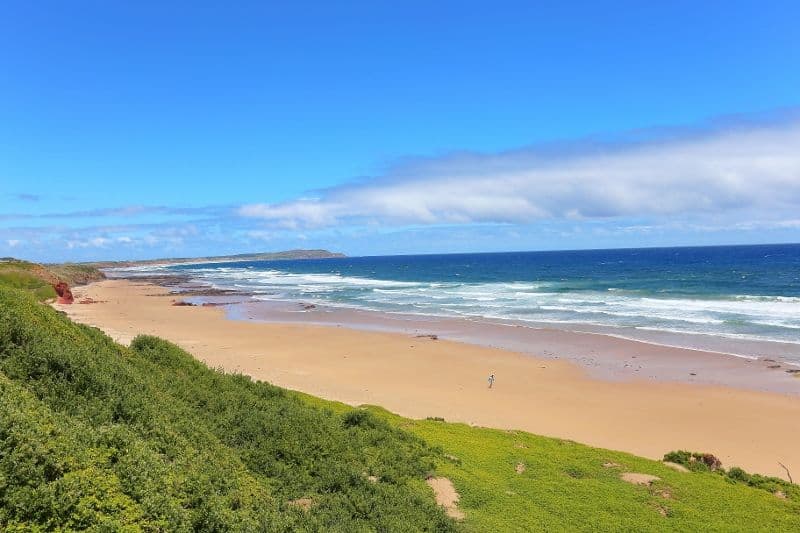 110 The Esplanade, Surf Beach VIC 3922, Surf Beach - Thumbnail 4