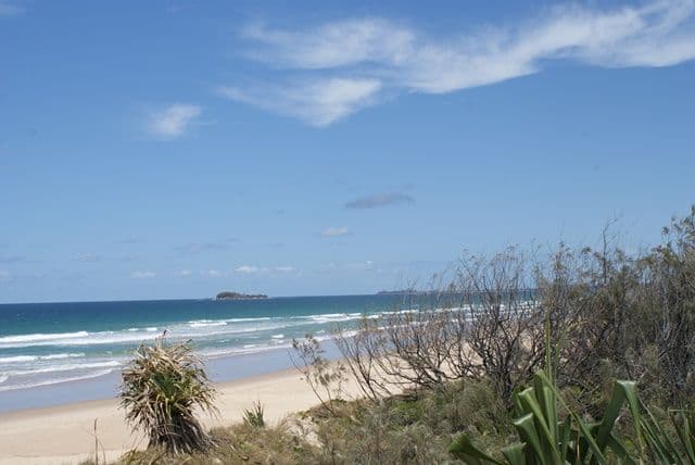 11 Begonia Way, MARCOOLA QLD 4564, Marcoola - Thumbnail 4