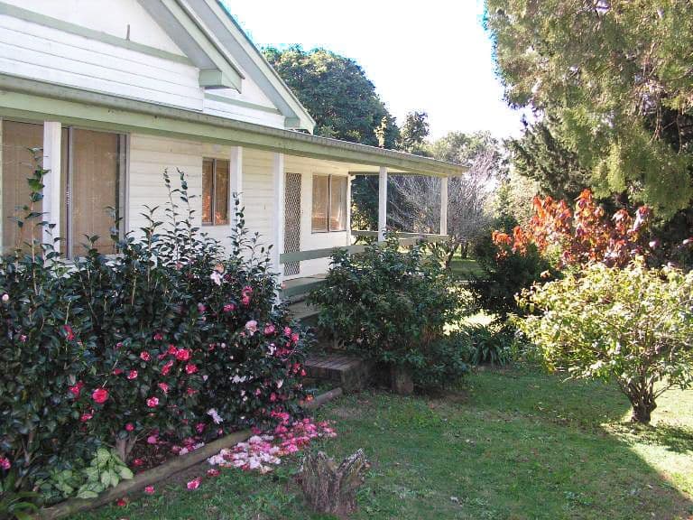 259 Riverbank Road, LOWER SOUTHGATE NSW 2460, Lower Southgate - Thumbnail 3