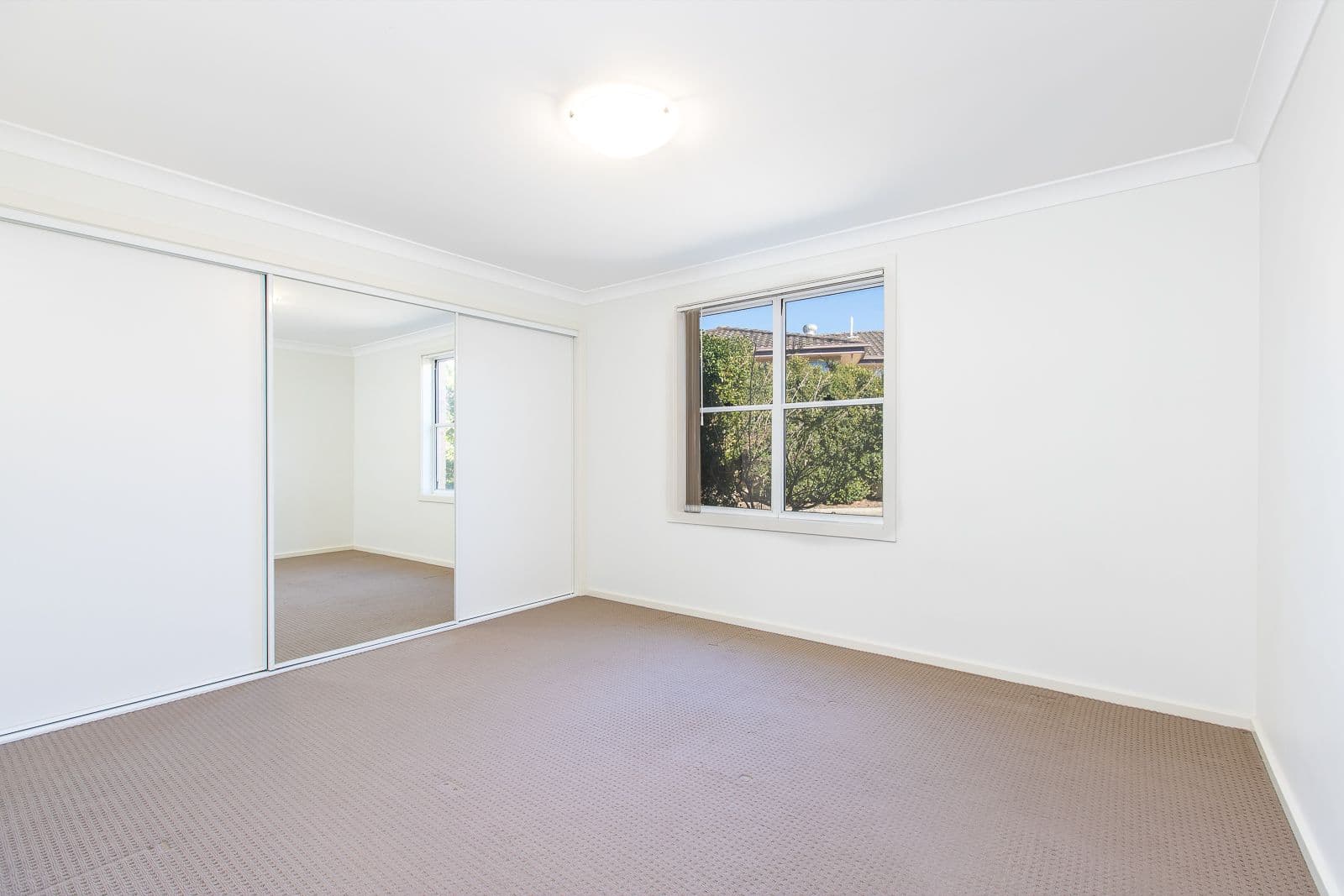 18 Croudace Road, Elermore Vale - Thumbnail 6