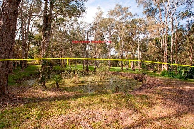 142 Rochedale Road, ROCHEDALE QLD 4123, Rochedale - Thumbnail 4