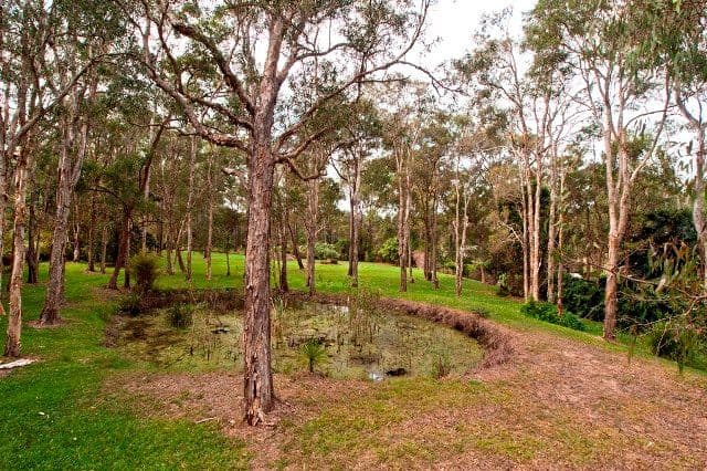 142 Rochedale Road, ROCHEDALE QLD 4123, Rochedale - Thumbnail 8